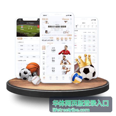 华体网页版内容分类展示示意