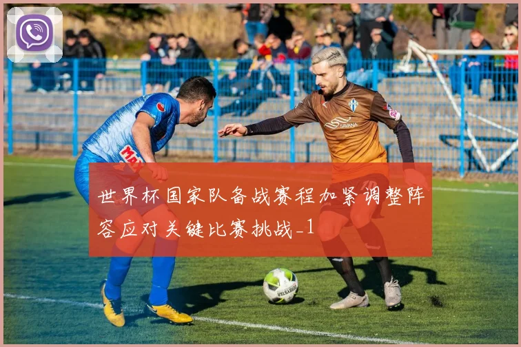 世界杯国家队备战赛程加紧调整阵容应对关键比赛挑战_1