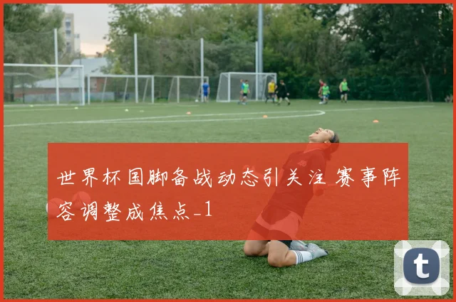 世界杯国脚备战动态引关注 赛事阵容调整成焦点_1