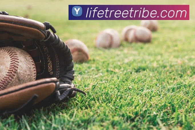 世界杯平台官网登录品牌故事